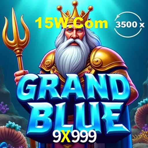 Interface Premium 9X999